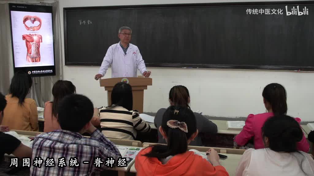 54-解刨学-周围神经系统-脊神经2