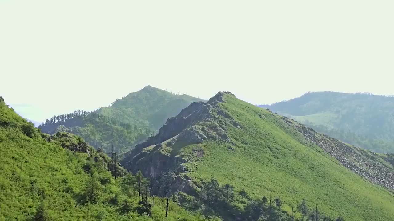 12、牛还是羊 Amazing China-A Cow or An Antelope