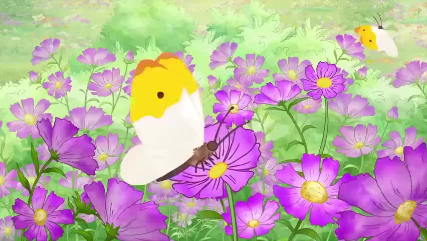 165 SnippetFieldofFlowers