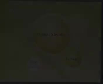 190-Book3-21-360P 流畅-AVC190【新概念英语】全四册+讲解版