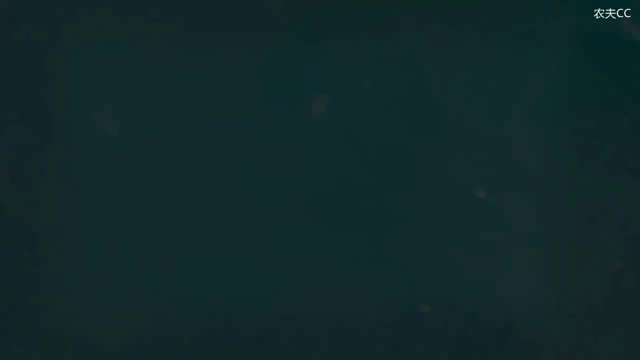 11.3 作为补足语的带zu不定式