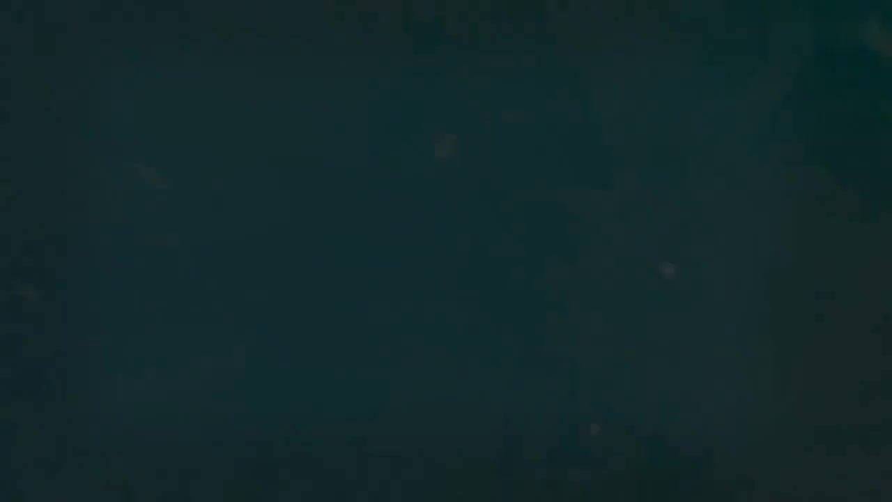 2.5 说说反身动词