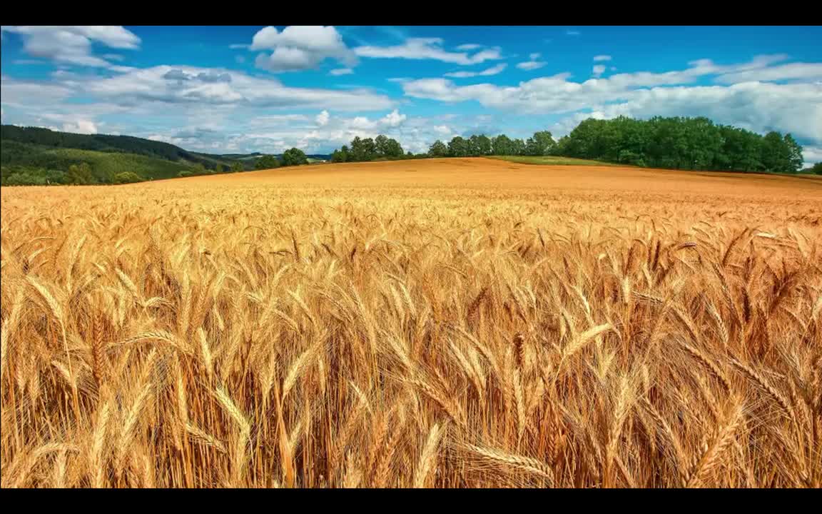 Various Artists - Deja Vu