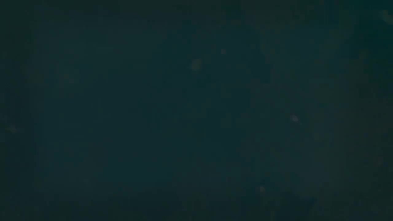 8.5 关系从句（下）