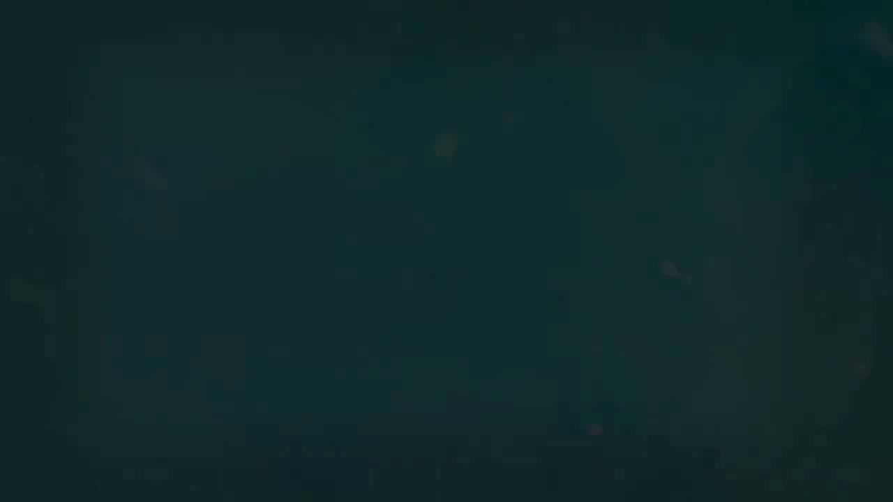 6.1 第二虚拟式的形态概述