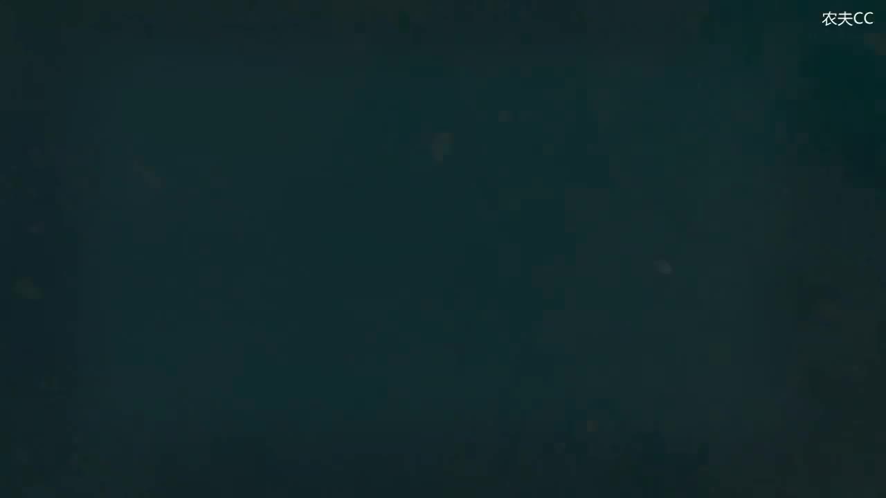 10.1 并列复合句