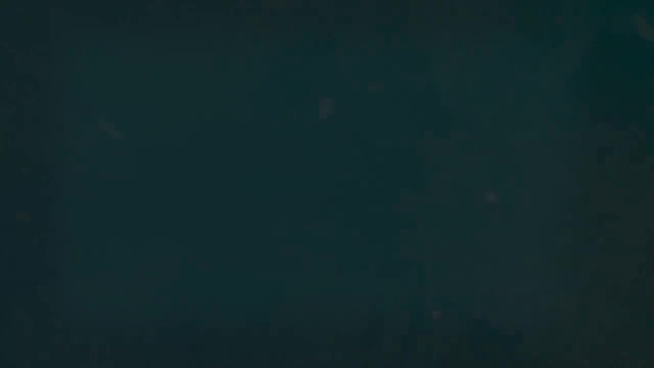 12.4 功能动词结构