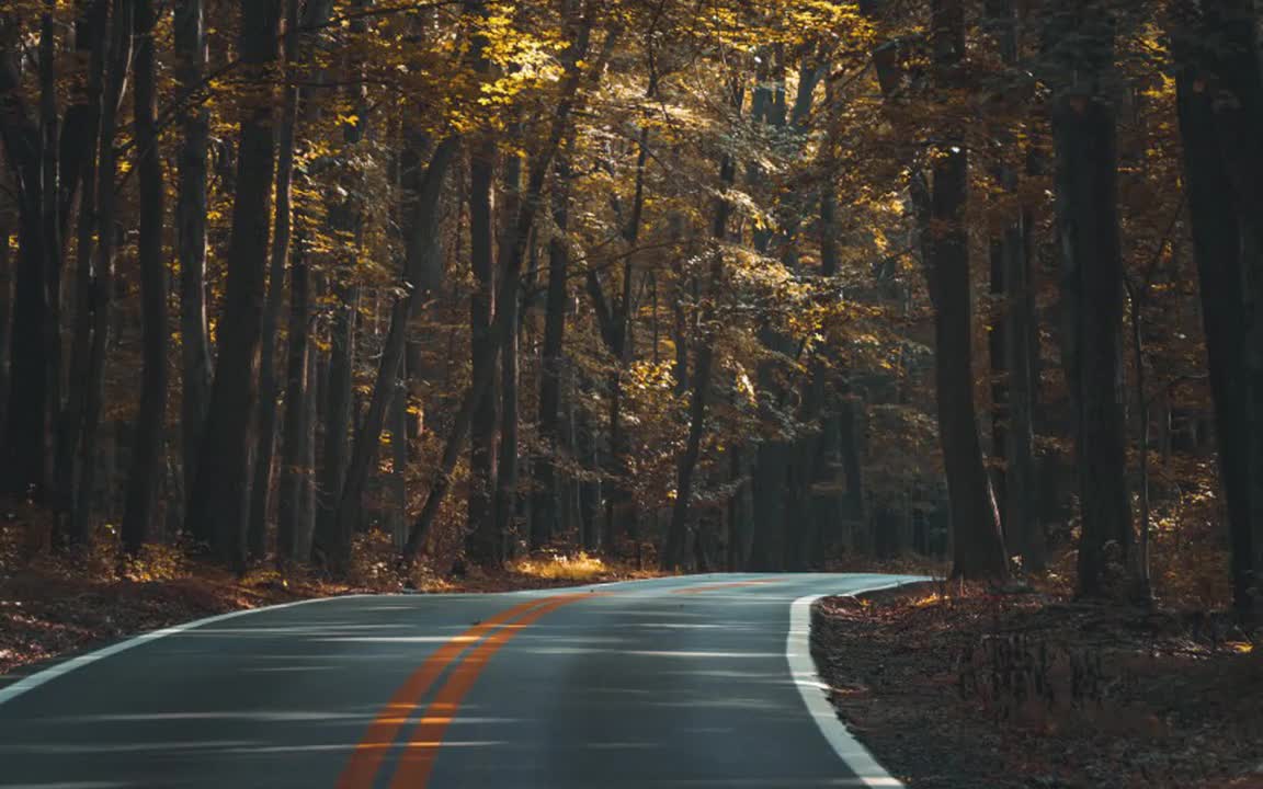 伍佰 & China Blue - 你是我的花朵