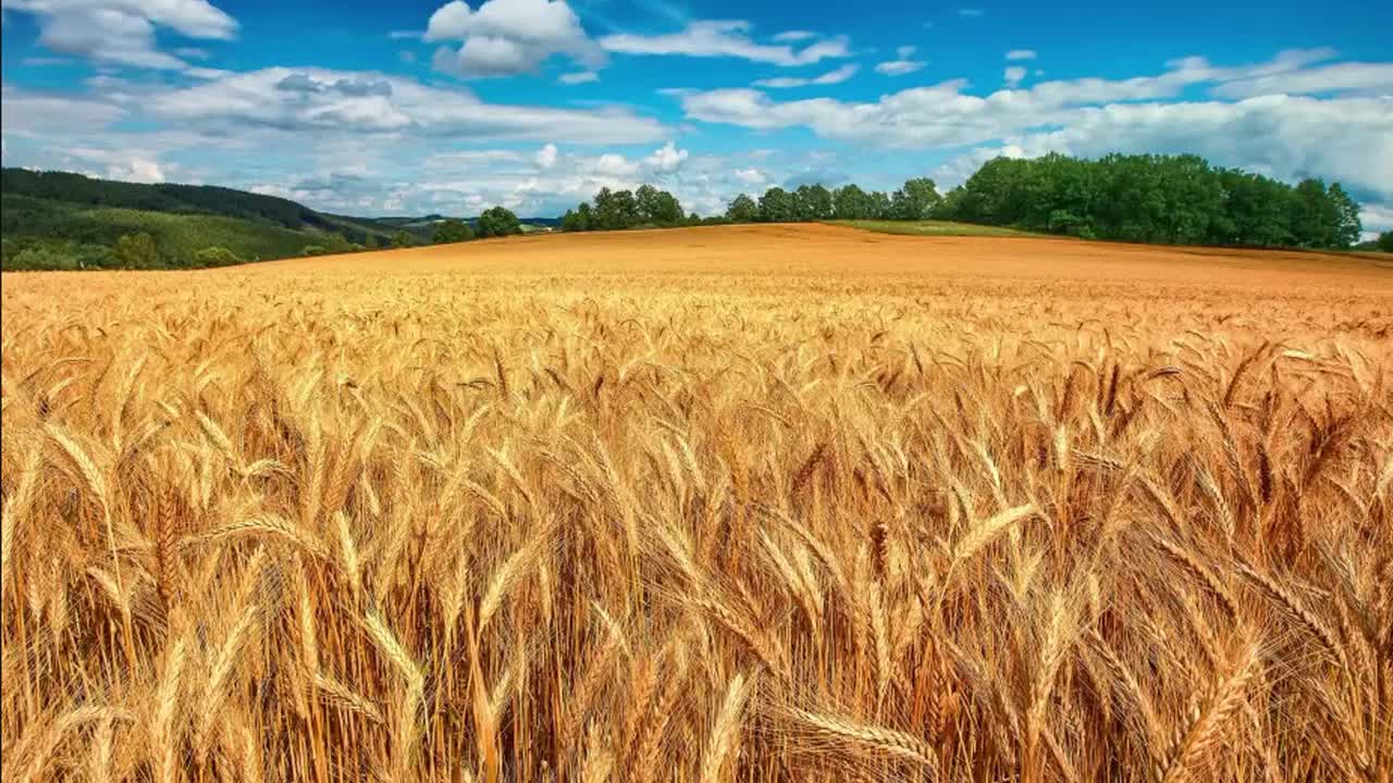 崔健 - 一无所有