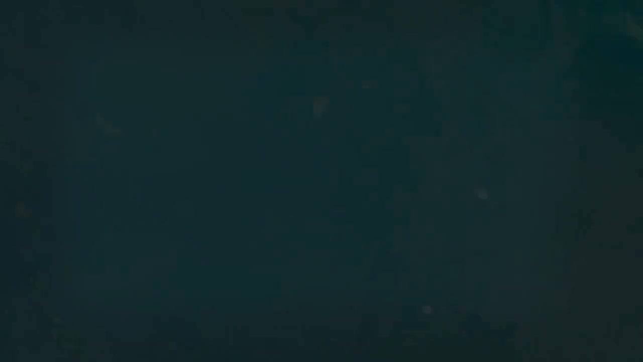 12.1 句子类型和语序