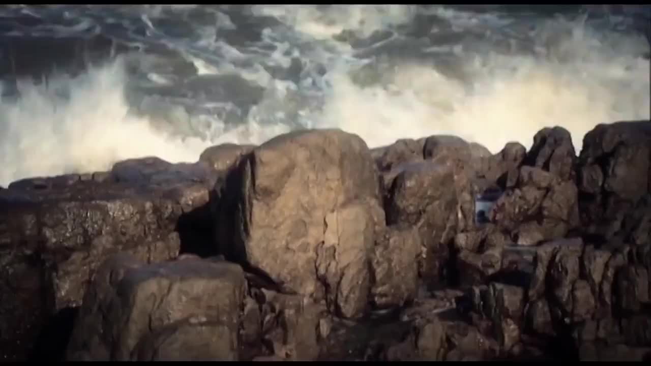 25 波生极乐天·1080P