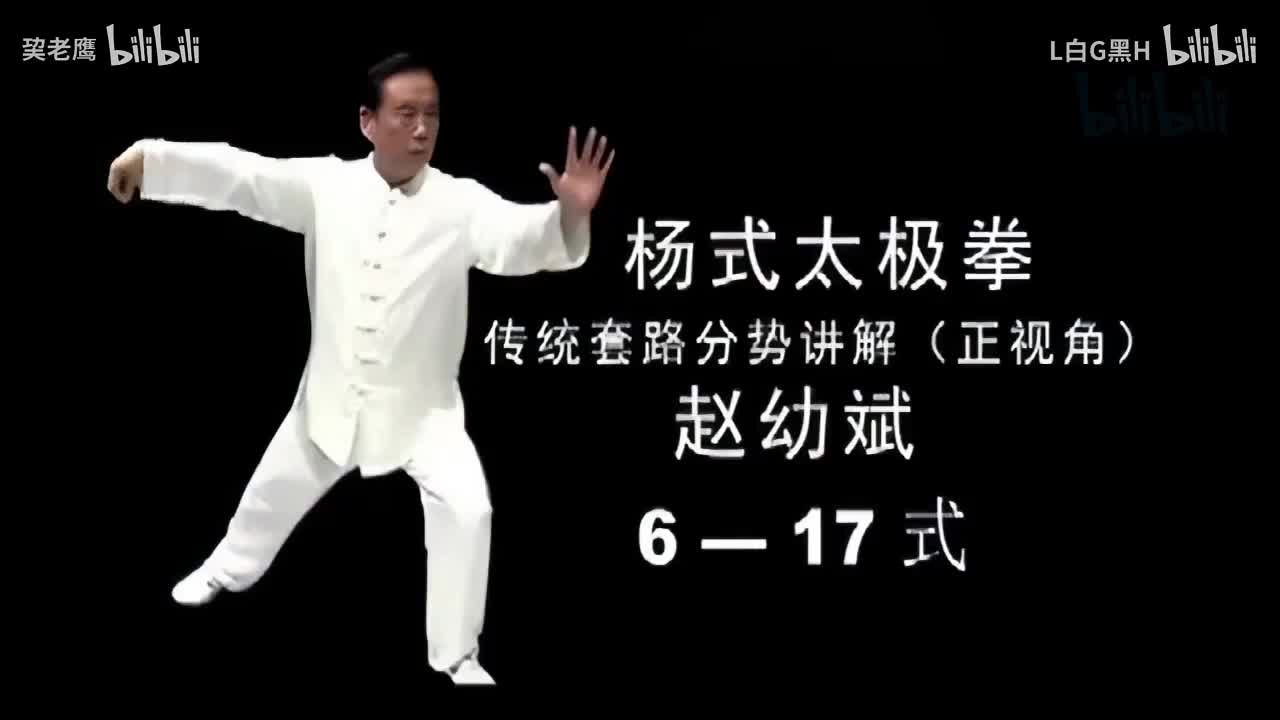 赵幼斌杨氏85式6-17式教学视频-720P