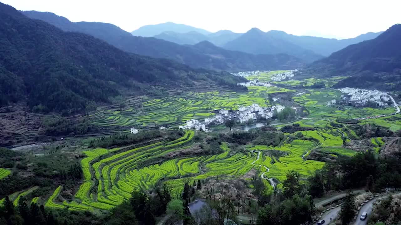 20.花海中的乡村