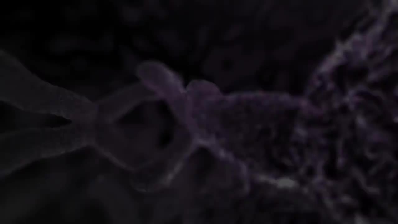 医学动画艾滋病毒和艾滋病 49-Medical Animation HIV and AIDS