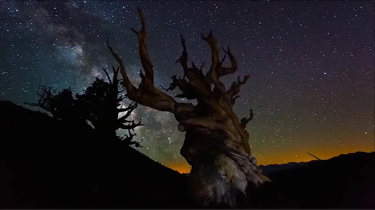逃跑计划 - 夜空中最亮的星