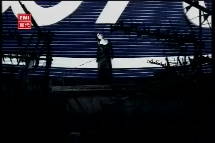 那英 - 征服
