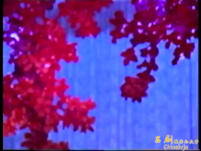 风流才子 董家岭、文宗哲、付焕涛、郭爱琴、李肖江等山东省吕剧院早年演出主演