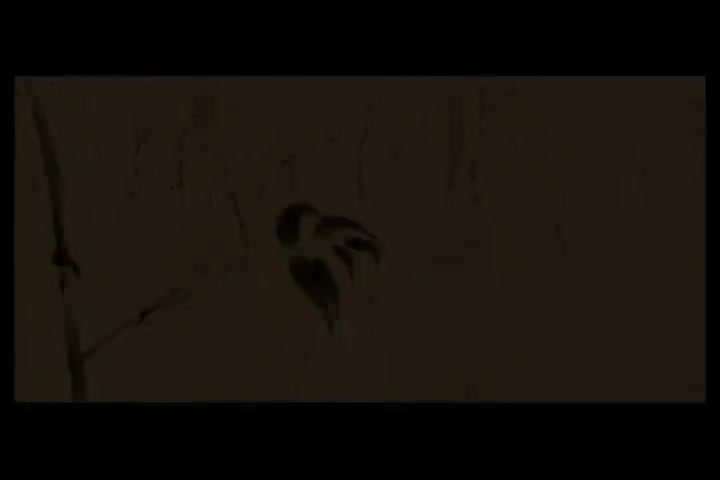 凤凰传奇 - 最炫民族风【卡拉OK 伴奏】