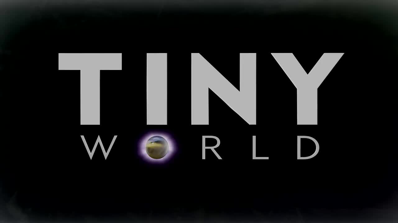 4_04-【雨林】小小世界2.Tiny World Season2