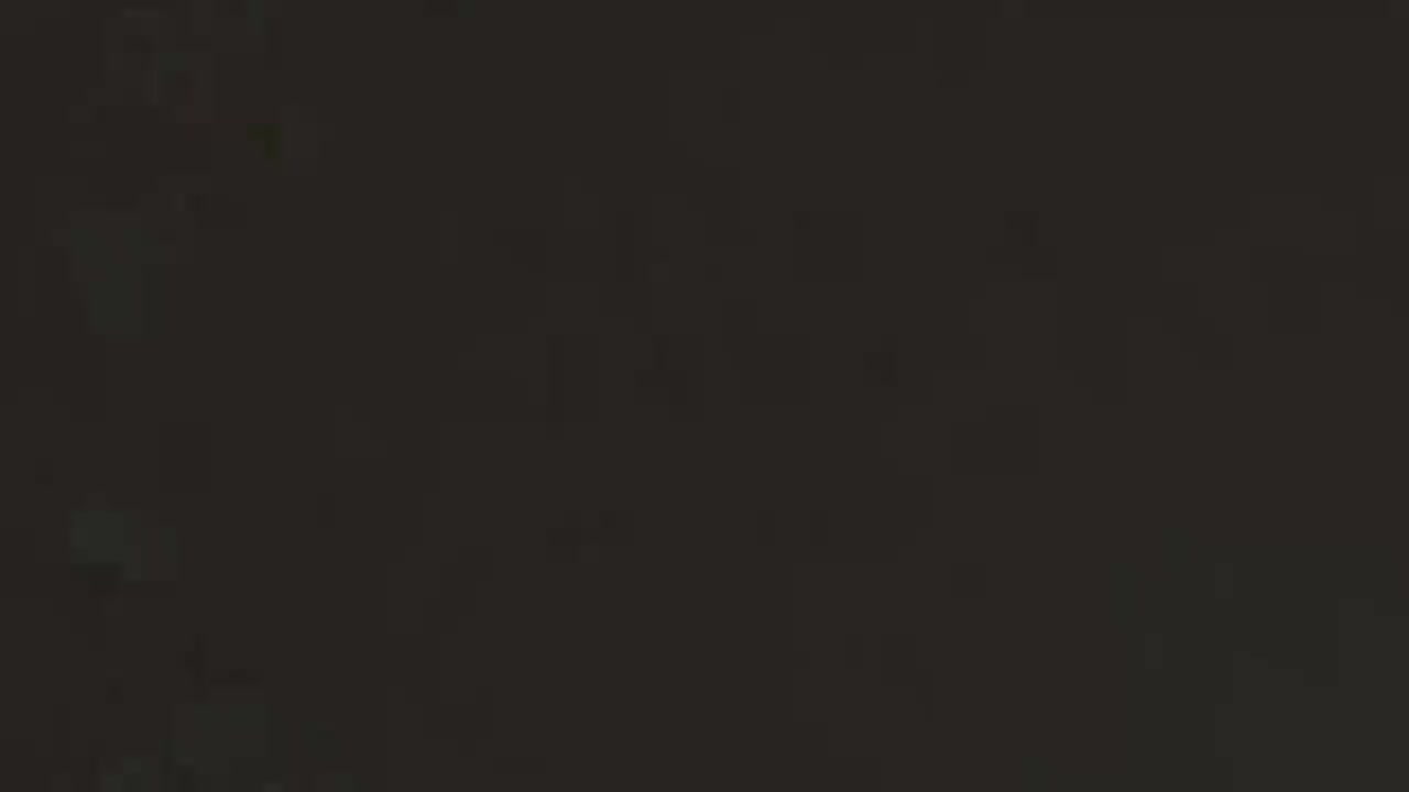 04.八极拳小架一路整趟演练