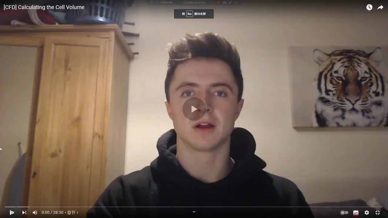 [CFD]计算网格体积