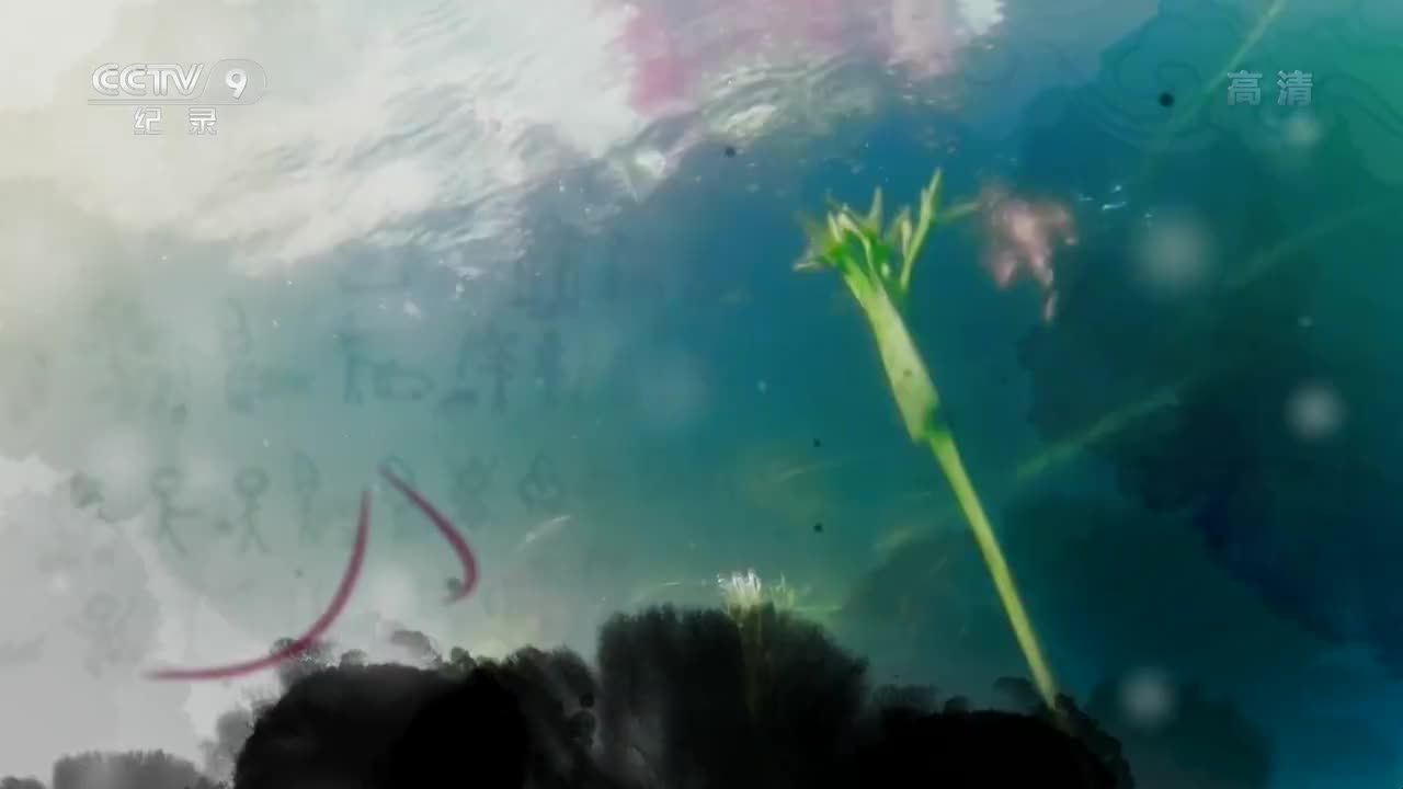 【时代・味道云南㈢绿野鲜踪】