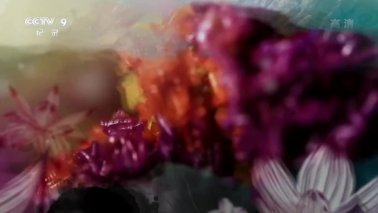 【时代・味道云南㈨甘苦轮回】