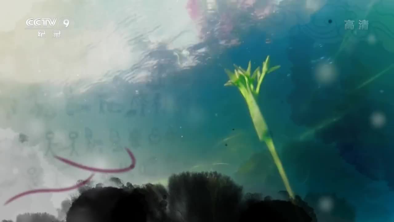 【时代・味道云南㈠家宴春色】