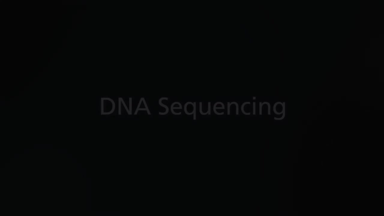 DNA测序- 3D 4-DNA Sequencing - 3D
