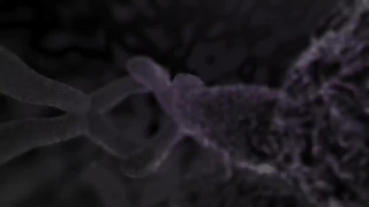 睡眠呼吸中止症 84-Sleep Apnea