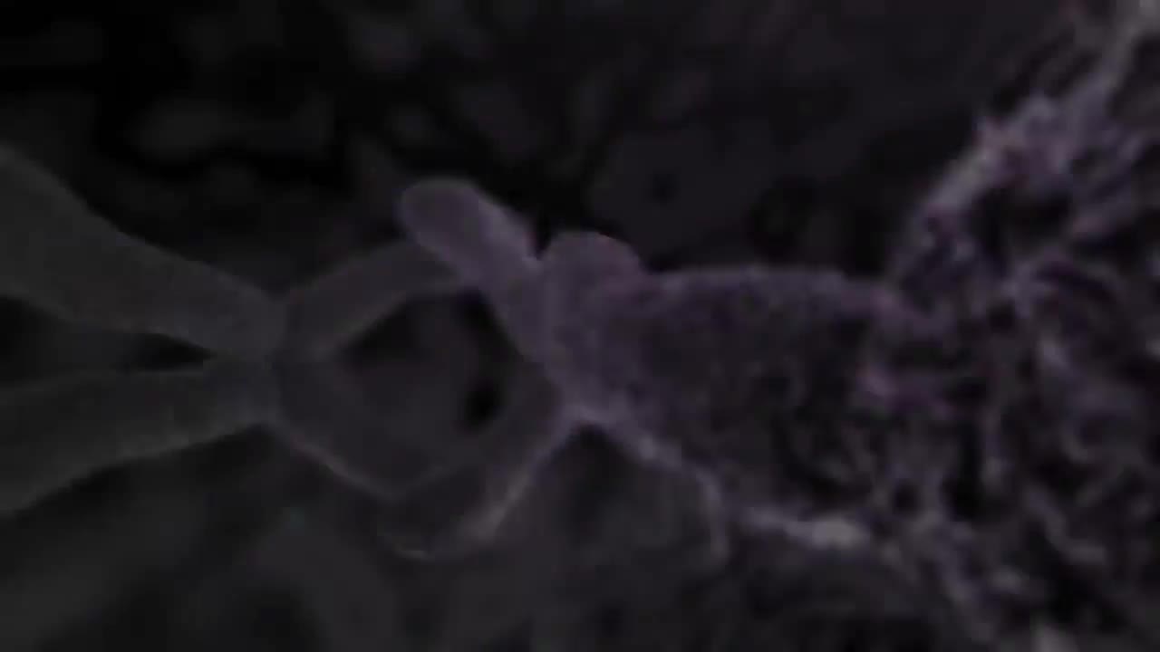 刮宫术 98-Dilatación y raspado