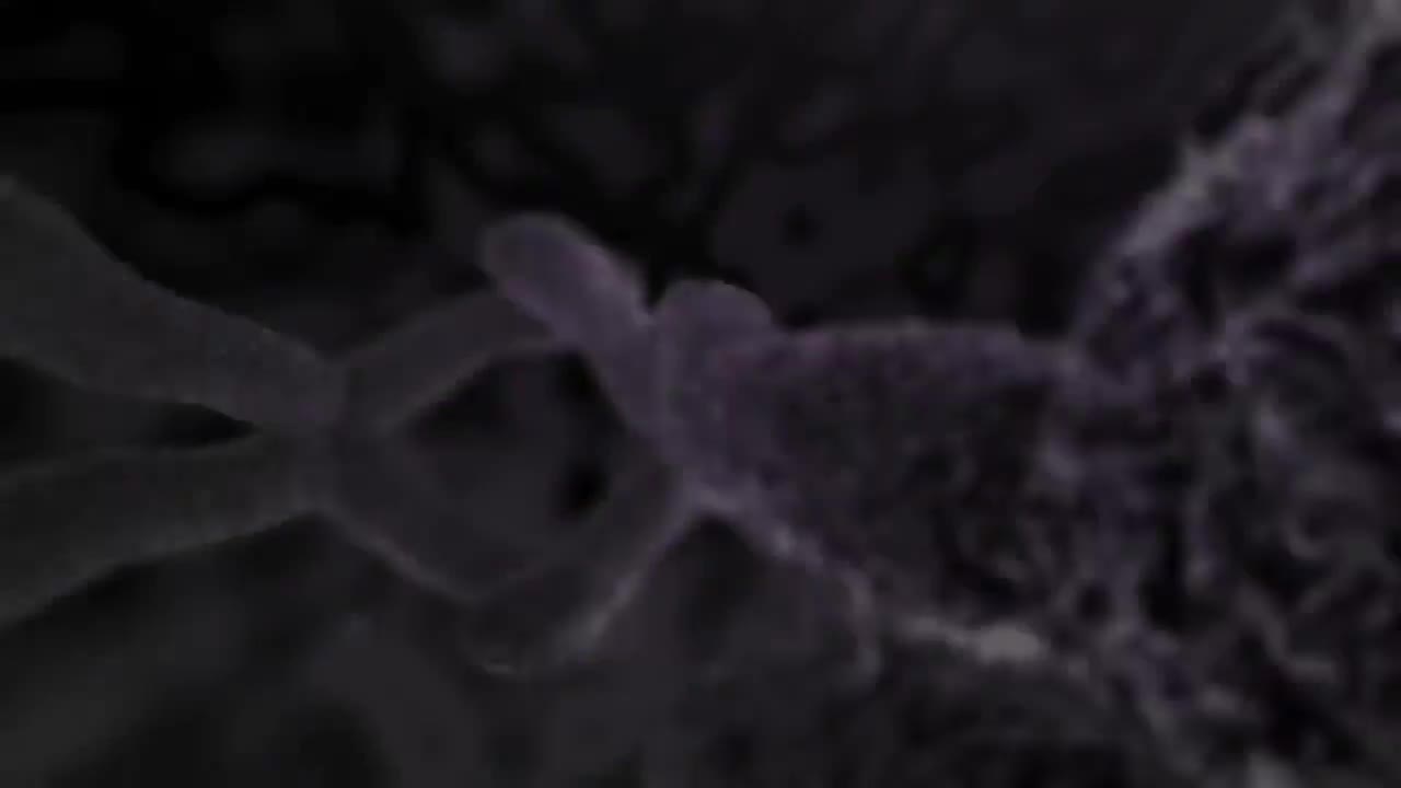 透析 88-Dialysis Nucleus Health