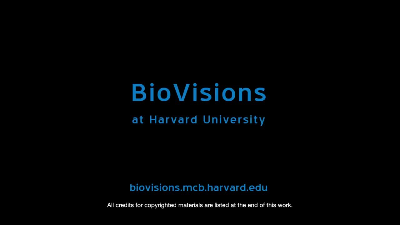 电子传递链 1-Electron transport chain