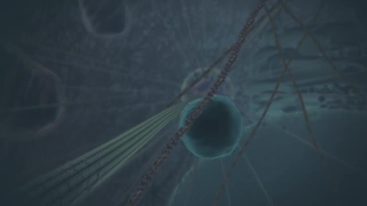 线粒体的结构和功能 7-Structure and function of the mitochondrion