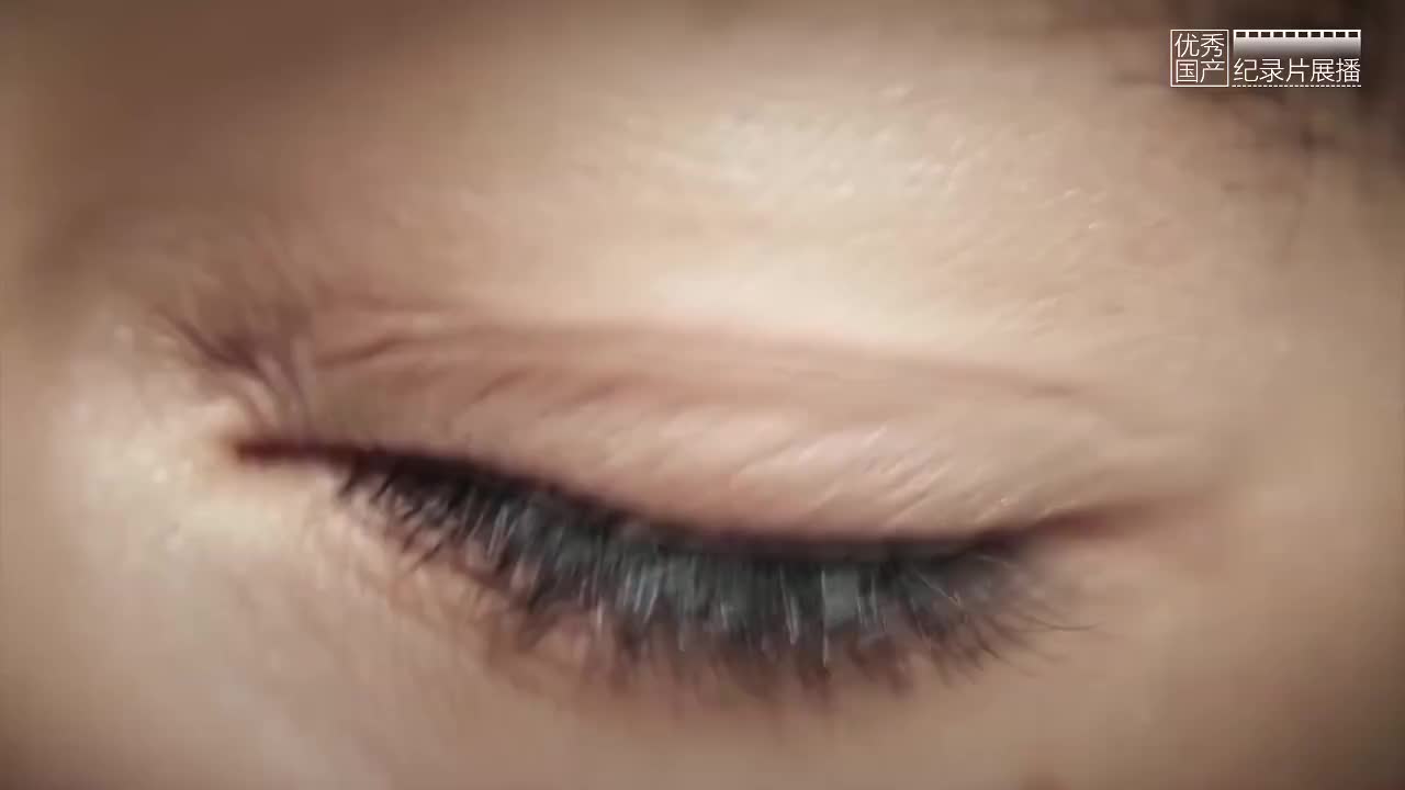 《科学的力量》 第五集 知本时代（上）