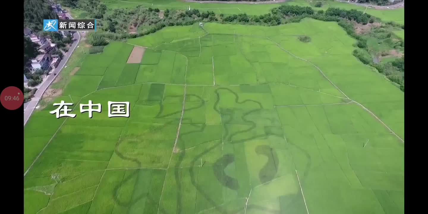 汉川新闻综合频道