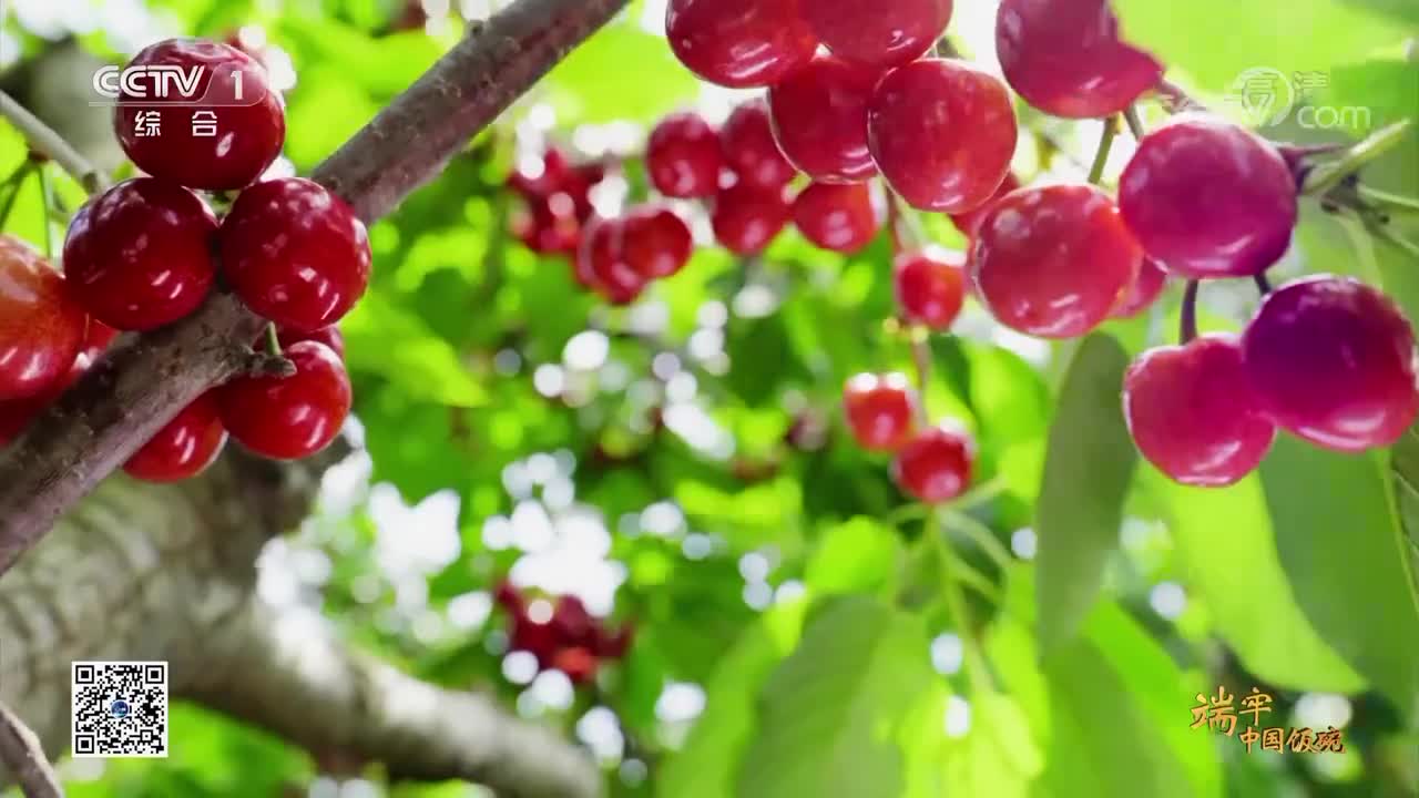 央视《端牢中国饭碗》 第9集 硕果满园