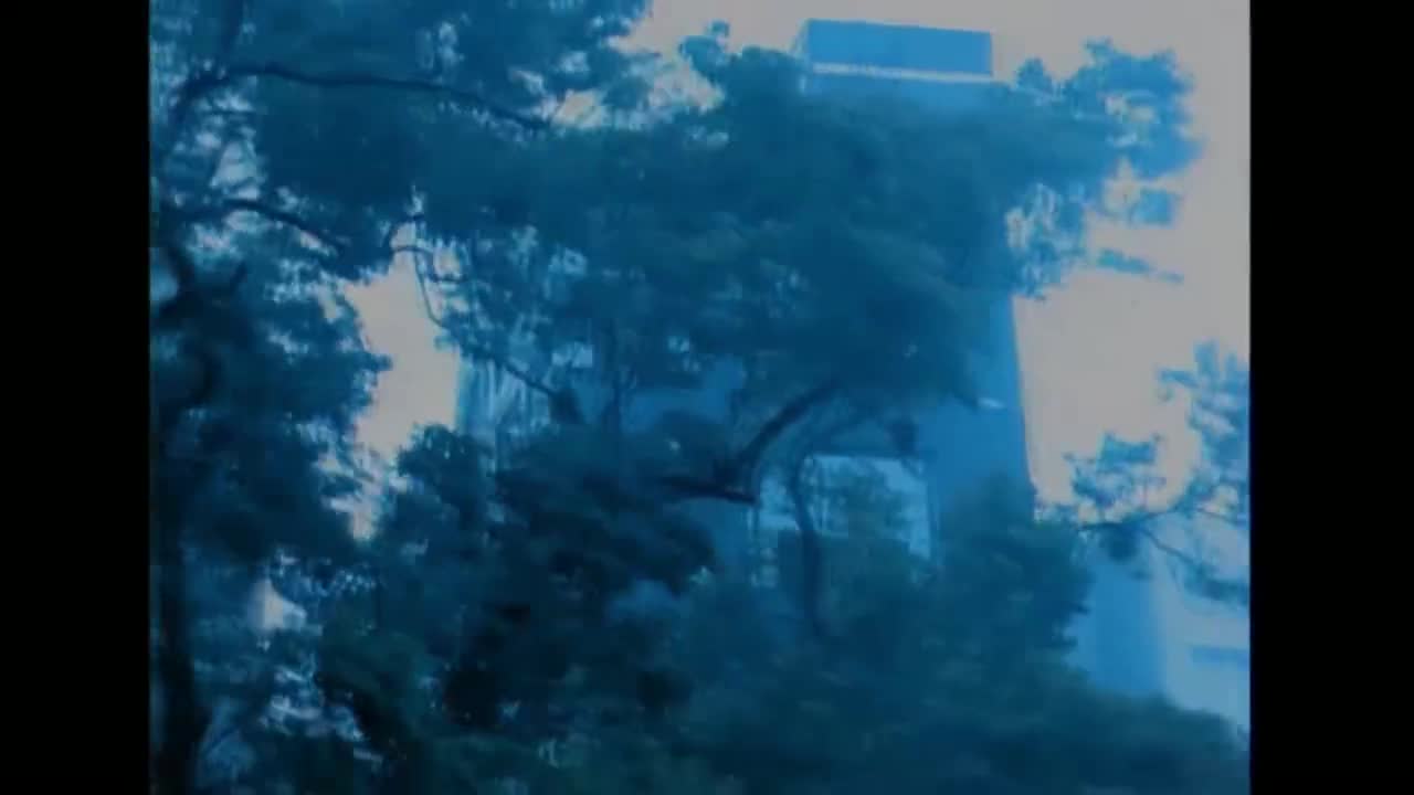 刘德华&吴宗宪&柯受良-笨小孩