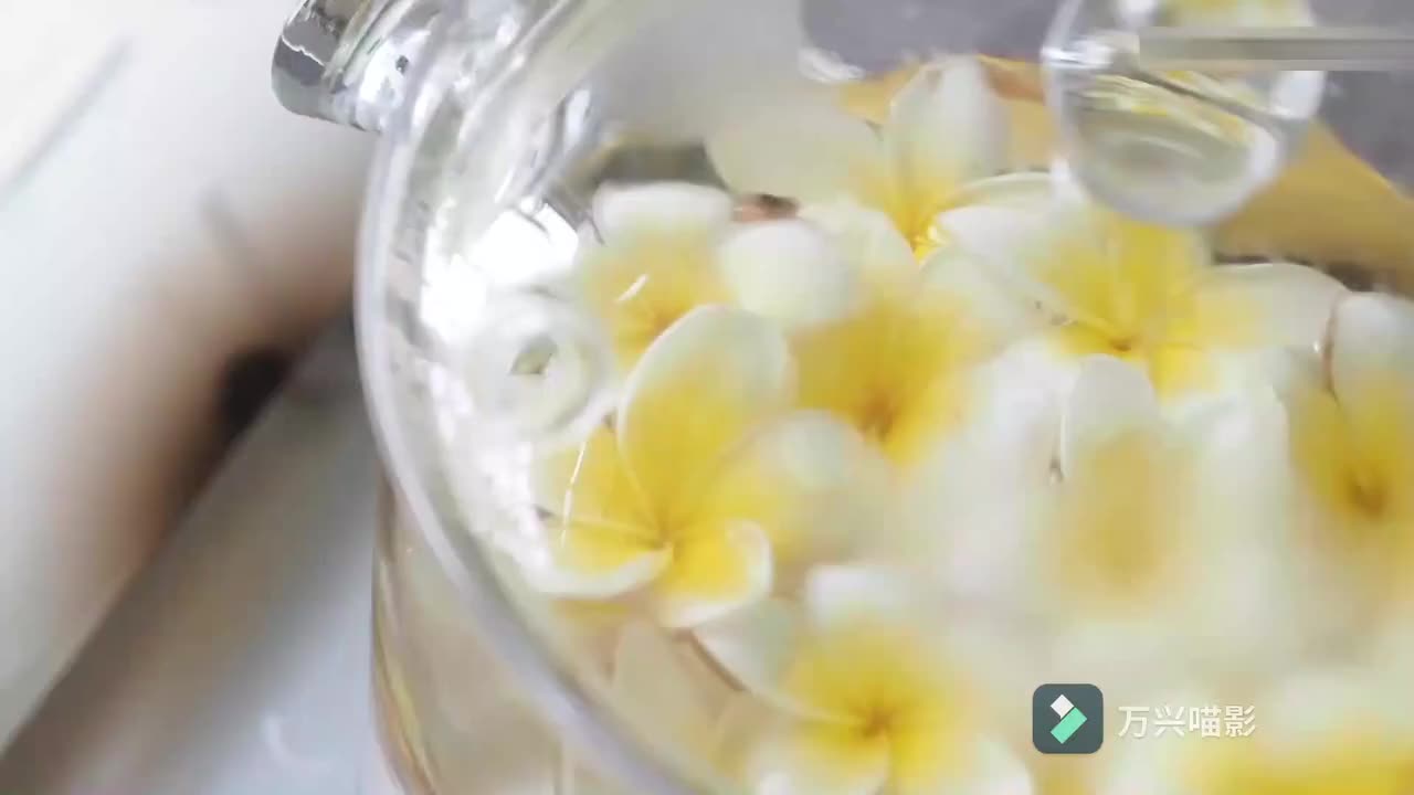 2-8化橘红鸡蛋花