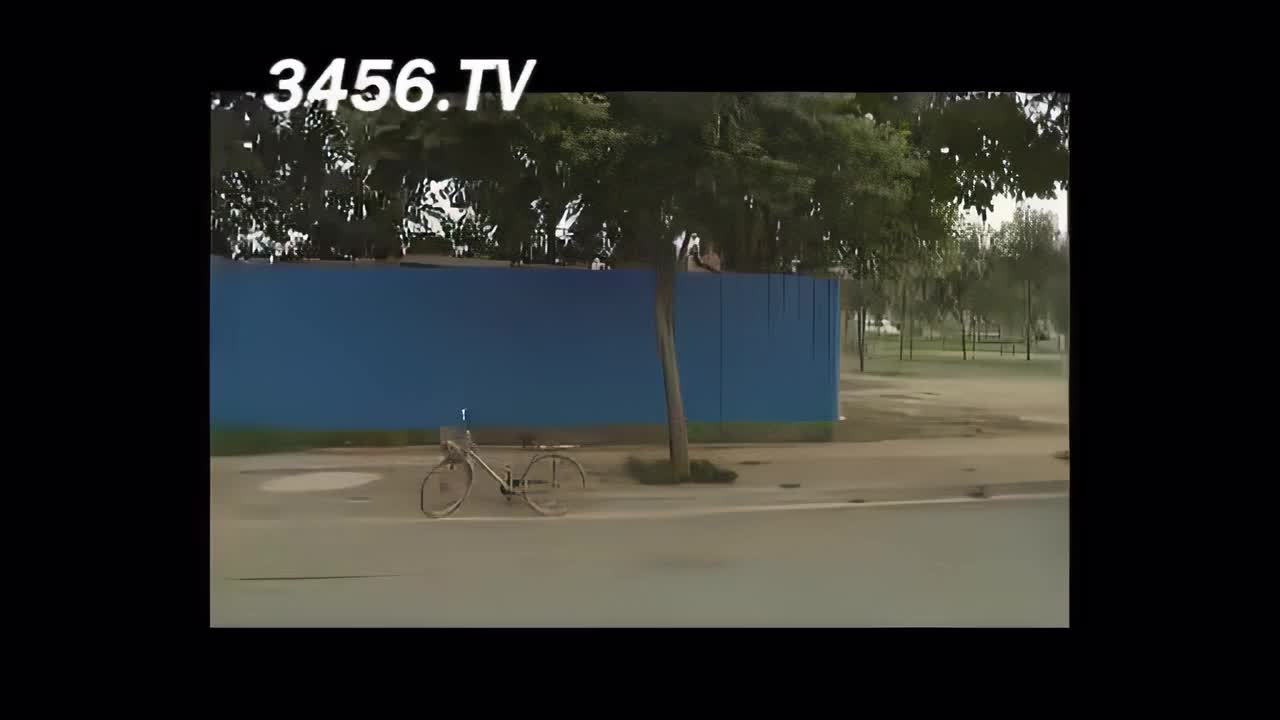 老外打架（万恶之源）