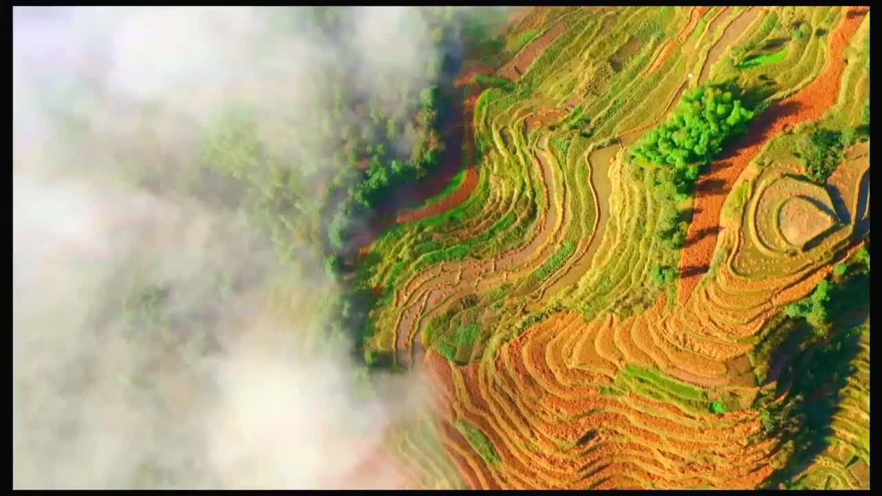 傲椒的湘菜 第9集：湘厨竞味场