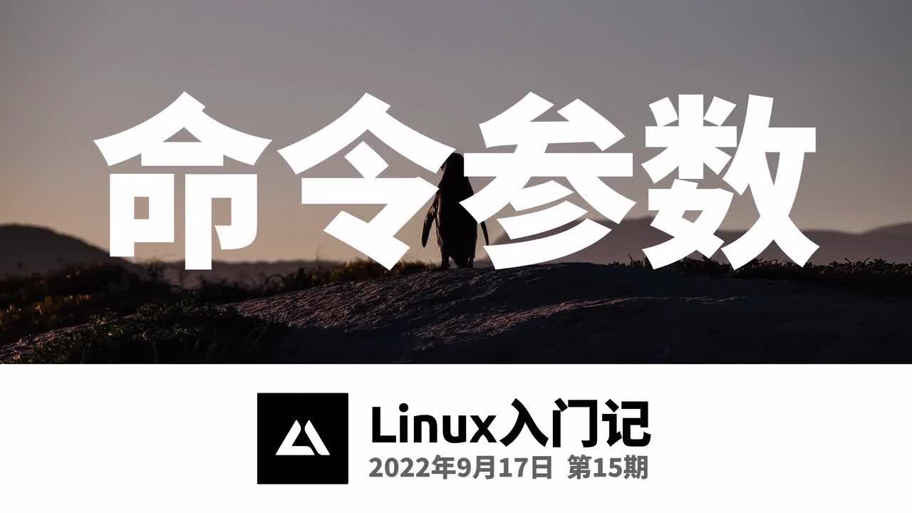 15，命令参数