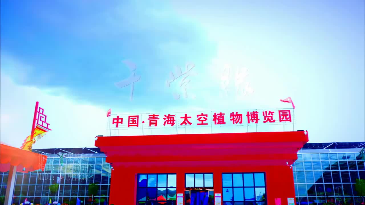 河湟花儿风暴_1.50x_1920x1080_amq-12