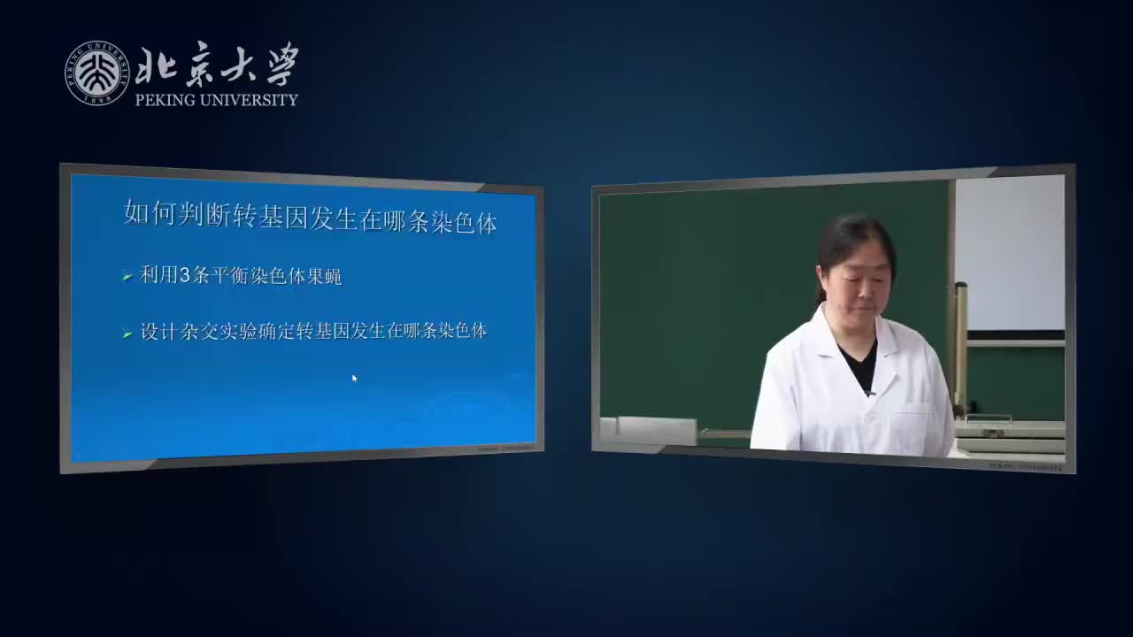 6.3.1-实验理论-FLP-FRT-重组系统与Mosaic杂交实验-2