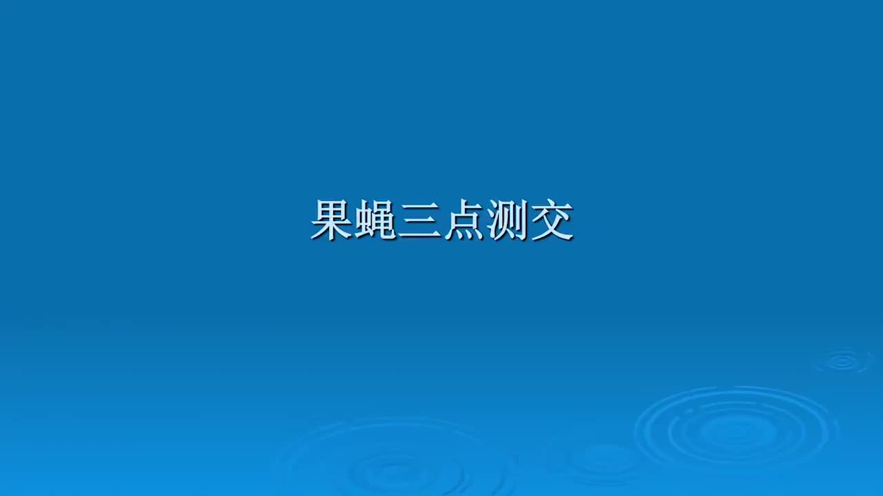 5.3.1-挑选果蝇父本和母本进行遗传杂交操作