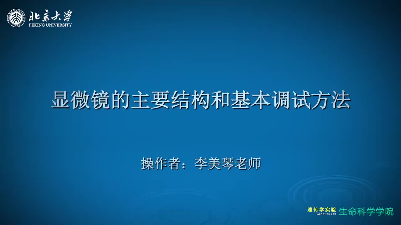 2.5.1-显微镜观察染色体