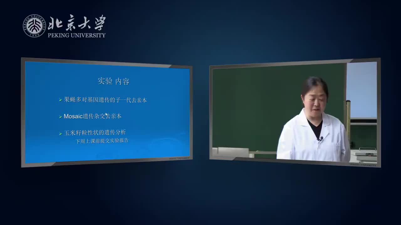 7.2.1-实验理论：玉米籽粒性状的遗传分析-2
