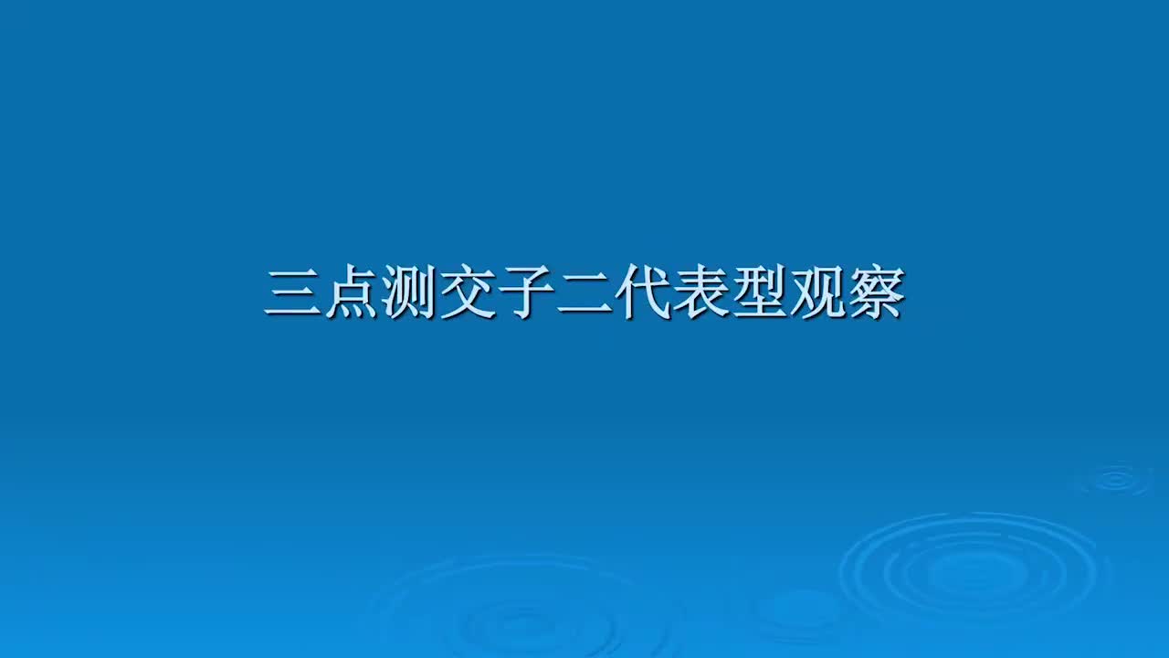 6.5.1-三点测交子二代表型观察