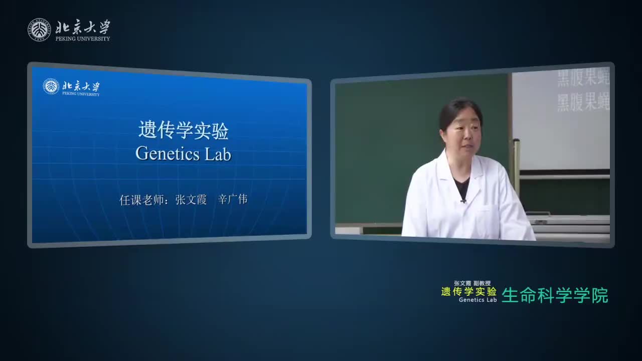 1.1.1-实验理论：模式动物与遗传学