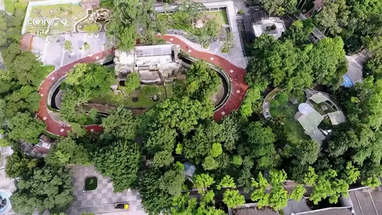 《奇趣动物园》第4集 新生与别离